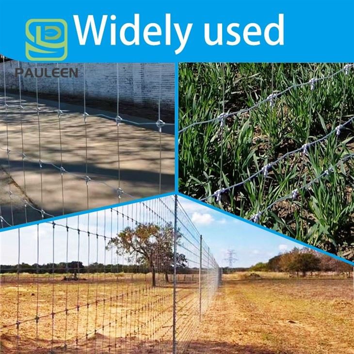 Agricultural Deer Fence factory Agricultural Deer Fence factory