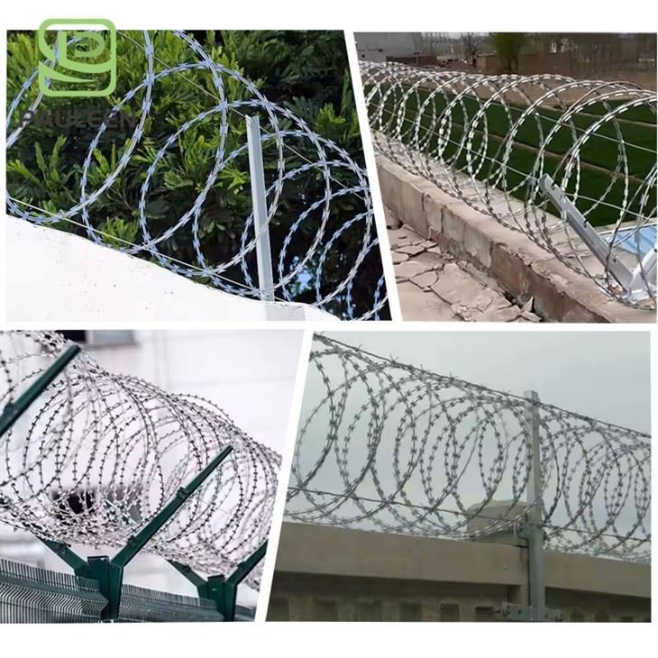Barbed Wire Roll - Razor Barbed Wire Fence For Outdoor, Repellent And Crafts factory