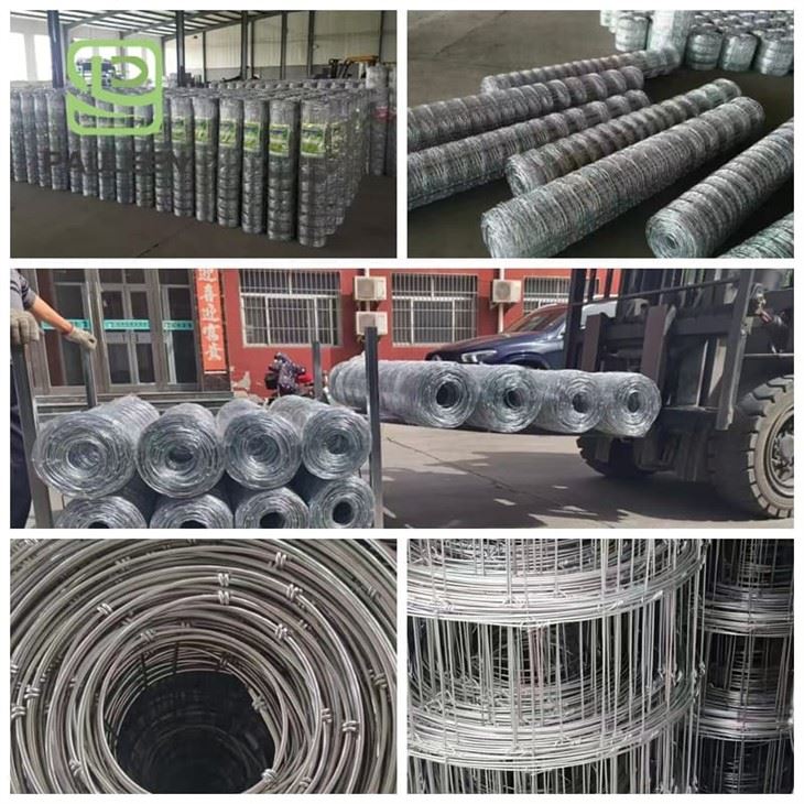 Hot Dip Galvanized Cattle Fence Panel best Hot Dip Galvanized Cattle Fence Panel best