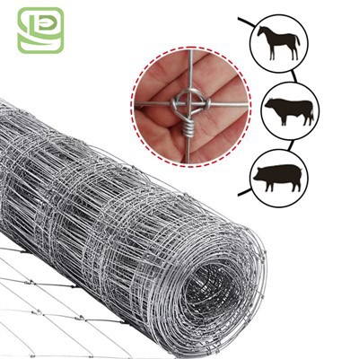 Biedja Ċint tal-Qasam taċ-Ċriev